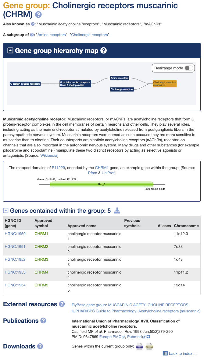 Example gene group report